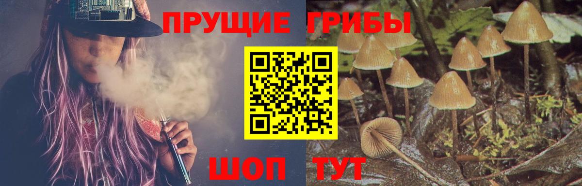 Калач-на-Дону  Псилоцибиновые грибы GOLDEN TEACHER  Вход с VPN 