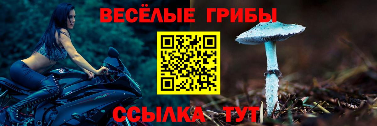 Галлюциногенные грибы Psilocybe Калач-на-Дону